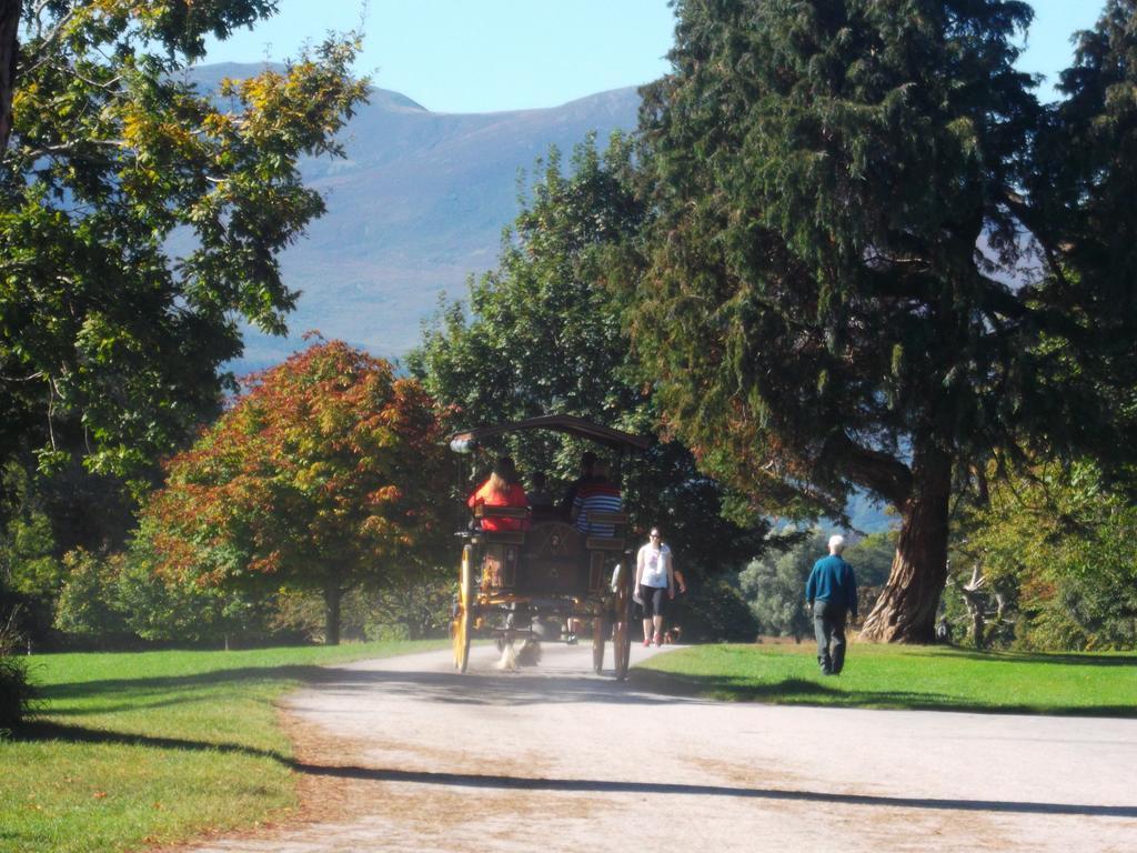 No 1 Killarney Holiday Village Vacation Home الغرفة الصورة